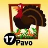 Pavo